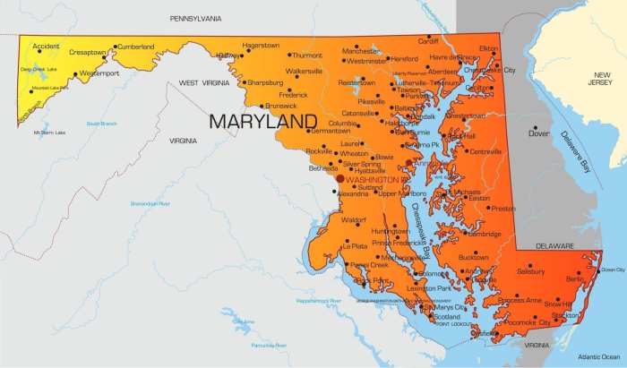 Lpn scope of practice maryland