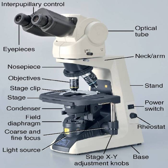 Condenser microscope adjust polarizing microscopeworld diaphragm adjusting science