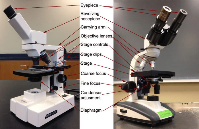 Definition of diaphragm on a microscope