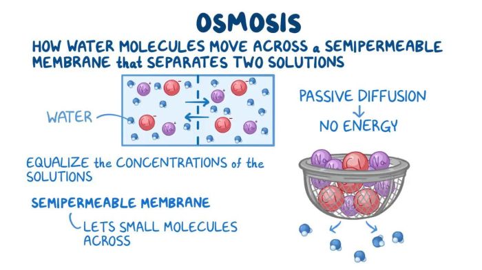 How is osmosis used to stop seizures