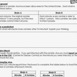 Unit 6 test study guide exponents and exponential functions