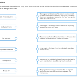 Phrase individuals appropriate