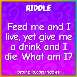 Give me food and i will live water die answer