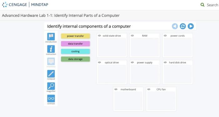 Lan computers connect ethernet