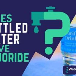 Bottled filled fluoride logic choices