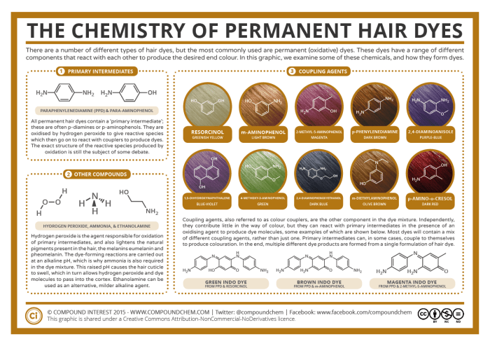 Permanent colors containing para-dyes would fall into which color category