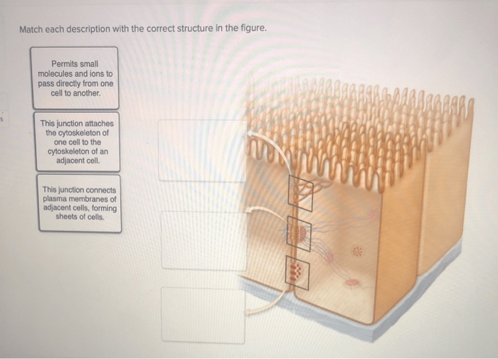 Match each description to the appropriate tool