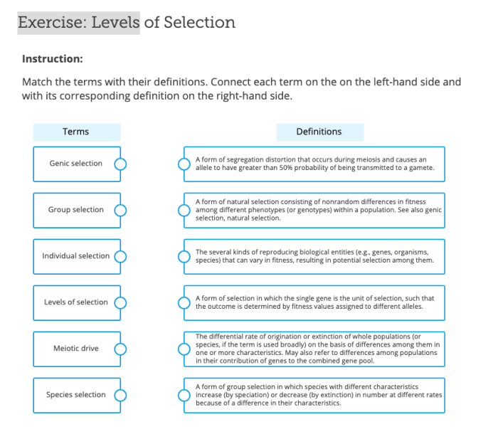 Match each term to the corresponding definition.